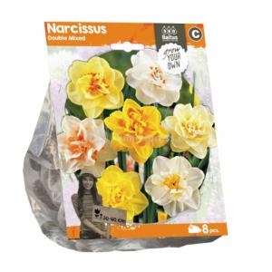 Baltus Narcissus Double Mixed bloembollen per 8 stuks